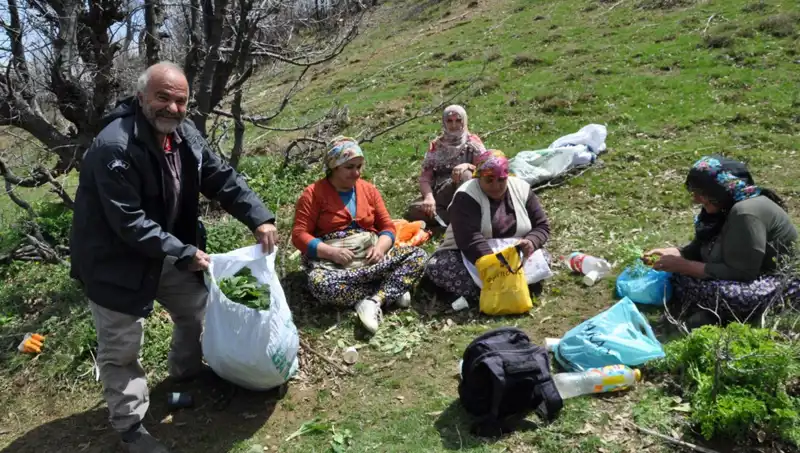 Doğanın Sunumu: Yürüyerek Topladıkları Fıstıklar ile Aile Geçindiriyorlar