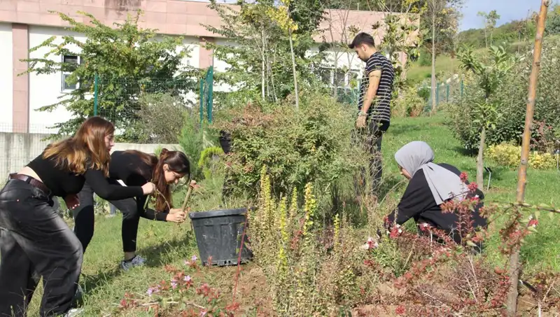 Düzce’nin Gururu: Hayalini Gerçeğe Dönüştüren Mucitlerin Hikayesi
