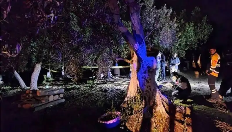 Çiftlikte Baltalı Vahşete Son: Bir Kişi Tutuklandı!