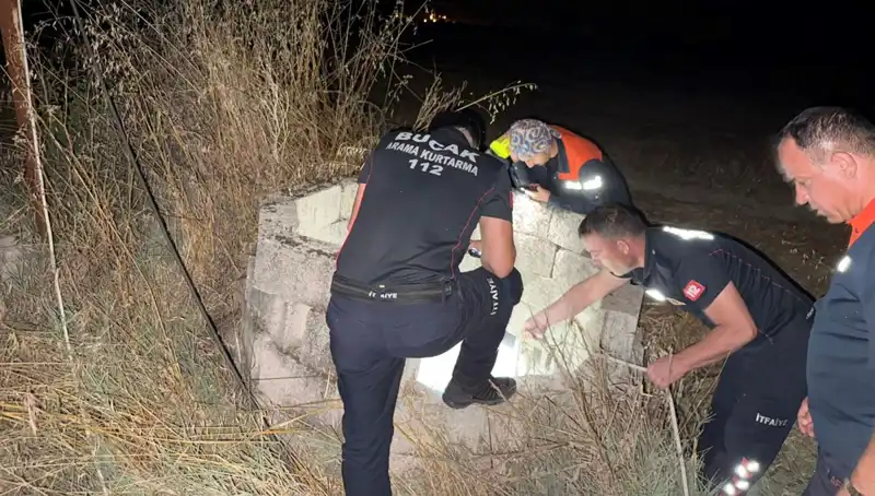 Kayıp Kedi Kuyu İçinde Bulundu: İtfaiye Ekipleri Kurtardı!