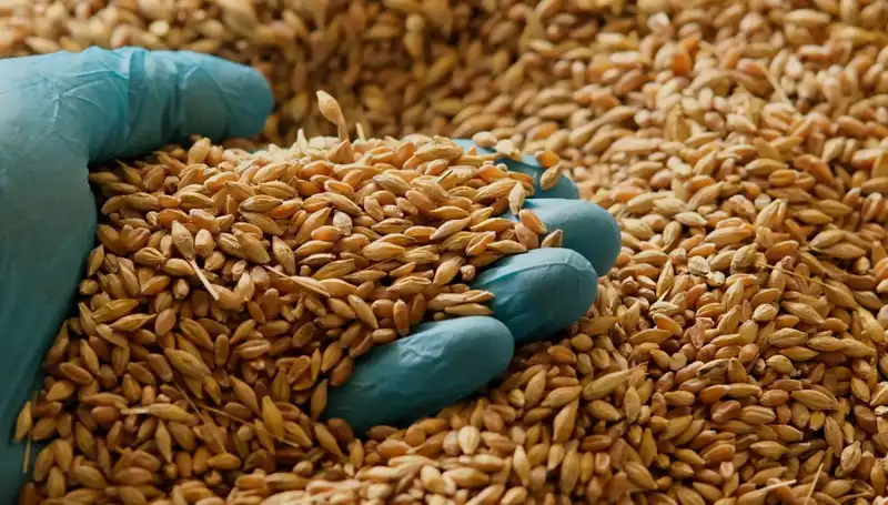 Kalp Hastalığı Riskini Azaltmak İçin Hangi Besinler Tercih Edilmeli?