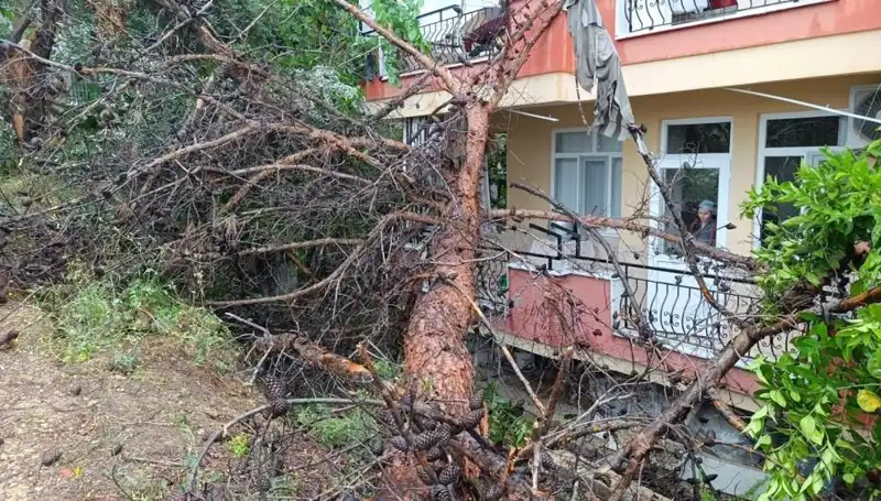 Şiddetli Yağmur Sonrası Bina Çöktü, Olay Yerinde Şok Anlar!