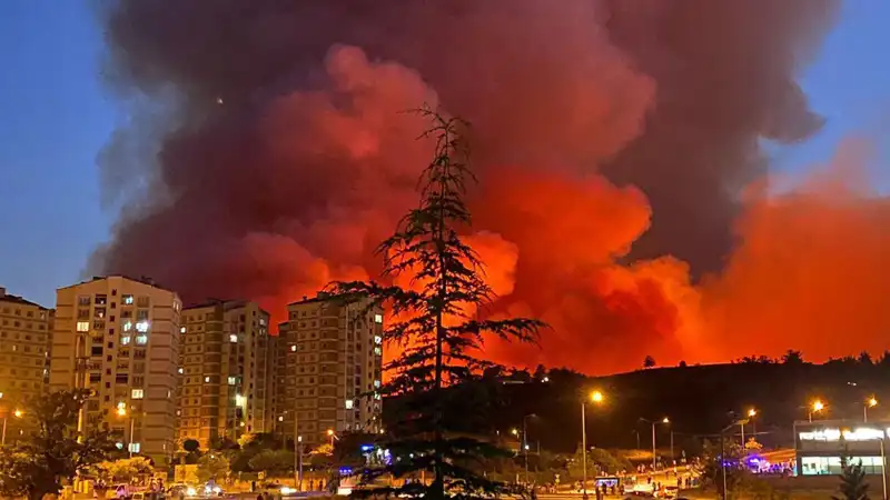 Bursa’da Yangın Alarmları: Şehirdeki Yangınlar Neden Bu Kadar Artıyor?
