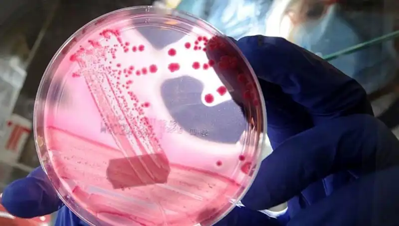 Bilim İnsanları, AP2A1 Proteiniyle Yaşlanmayı Geçici Olarak Durdurmanın Yolunu Buldu