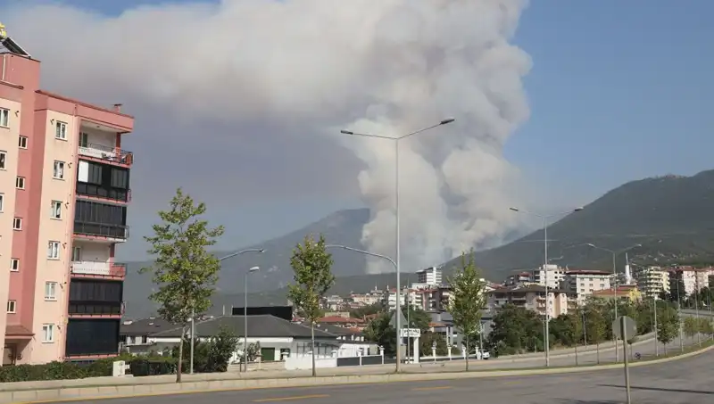 Denizli Orman Yangınına Neden Olan Şüpheli Gözaltında! Yangının Ardındaki Gizem Üyüldü