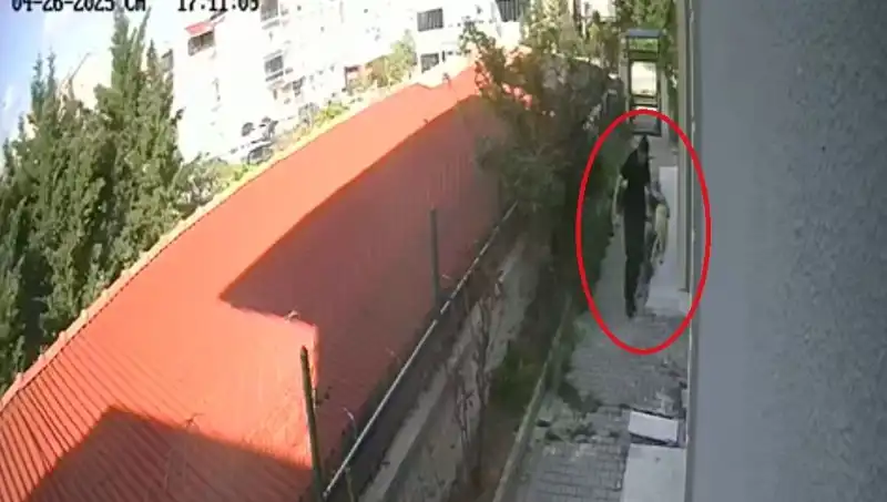 Veteriner Doktorun Şok Eden İfadesi: Evdeki Köpekleri Nasıl Parçaladı?