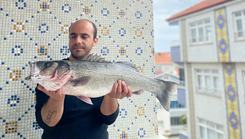 7,5 Kiloluk Dev Levrek Avı: Balıkçıların Gözdesi Oldu!