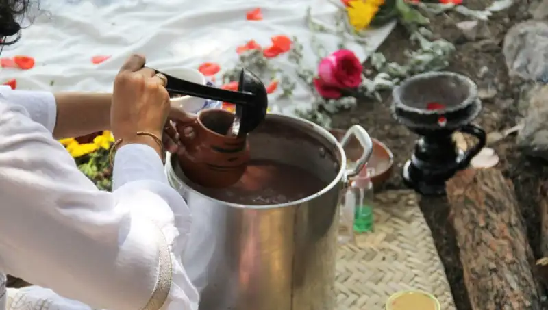 Ayahuasca: İçeriği, Etkileri ve Yasal Durumu Neden Tartışmalı?