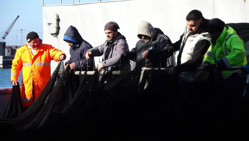 Denizlerde Hamsi Avıyla İlgili Kötü Haber: Tekneler Erken Paydos Etti