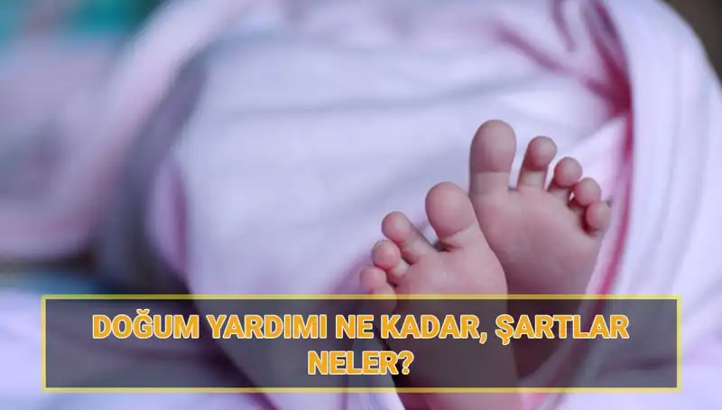 2025 Doğum Yardımı: Çocuk Parası Başvuru Şartları ve Süreci