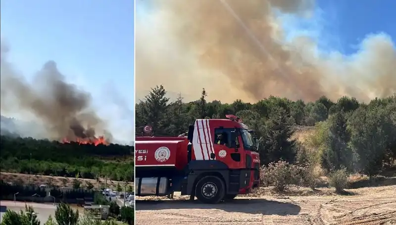 Gebze'de Orman Yangını: Doğayı Küller İçinde Bırakan Felaket