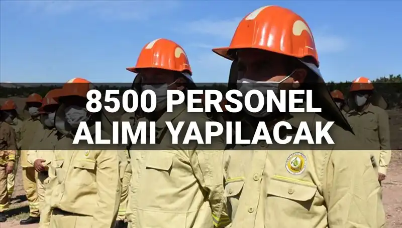 2025 İçin Tarım ve Orman Bakanlığı 8500 Personel Alımı: Başvuru Tarihleri ve Şartlar
