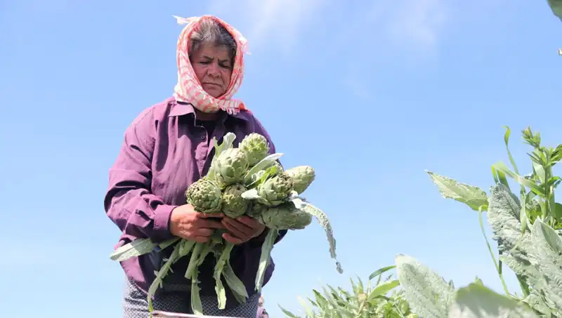 Tarım Ürünleri Fiyatları Tırmanıyor: Tezgahta Tanesi 50 TL Olunca Ne Olacak?