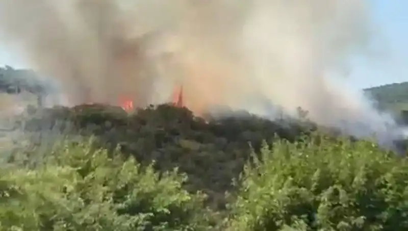 İstanbul'da Orman Yangını! Vatandaşlar Acil Olarak Tahliye Edildi