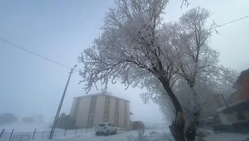 Göle Gölü'nde Eksi 18 Derece: Soğuk Havalar Hayatı Durdurdu!