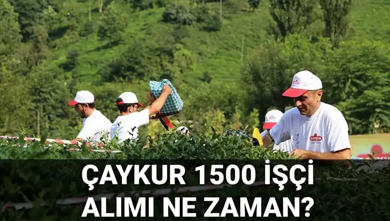 Çaykur İşçi Alımı Başvuruları Başladı! İşte Merak Edilen Tüm Detaylar