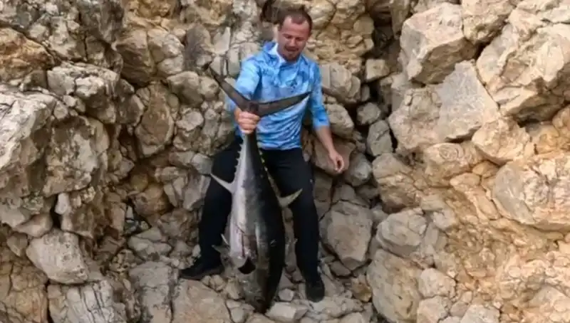 Saros Koyu’nda Yakalanan Dev Balık, Tutukluluğu ve Mücadelesiyle Gözleri Doldurdu