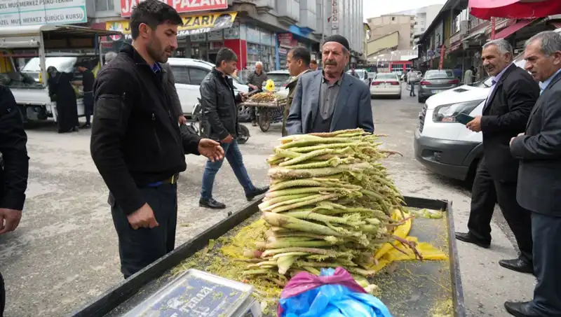 Şekerin Sağlığa Faydaları: Kanser ve Mide Hastalıklarına Karşı Etkileri