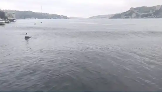 İstanbul'da Şok Etkisi Yaratan 6,2 Büyüklüğündeki Deprem Denizde Dalgaları Yükseltti