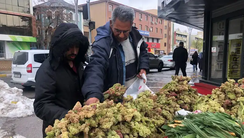 Kendiliğinden Yetişen Şifalı Bitki: Kanserin Yeni Umudu!