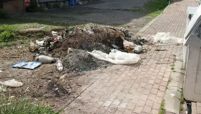 Antalya'da Kedilerin Gizemli Ölümü: Vahşetin Ardında Ne Var?