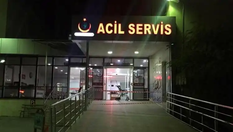 Kardeş Kavgası: Aile İçi Çatışmada Kan Aktı ve Sonrası!