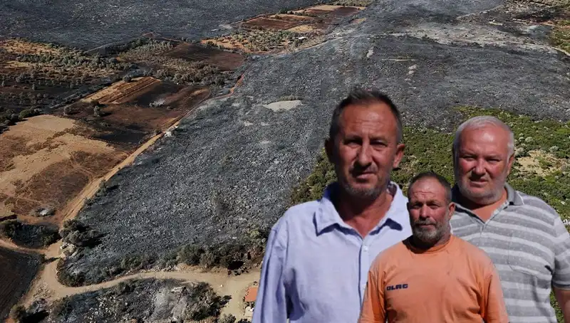 Çeşme'deki Yangının Ardındaki Gerçekler ve Acı Bilanço