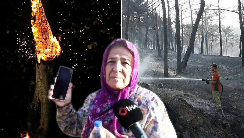 Çanakkale Orman Yangınları Kontrol Altına Alındı: Kaybolan Hayatlar ve Hatıralar