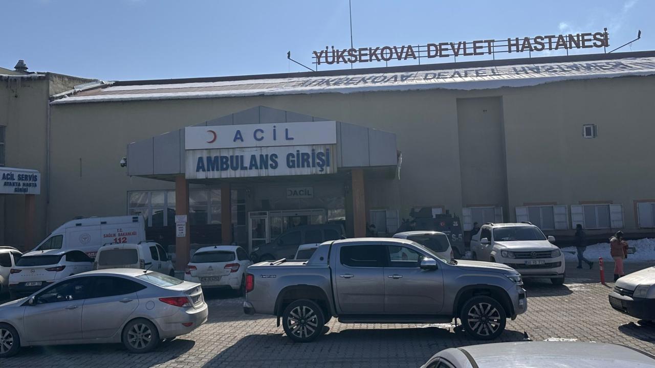 Köpeklerin Saldırısında Ölen Çocuk İçin Müfettiş Görevlendirildi