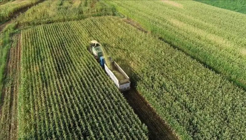 2025 Mart Ayında Mazot ve Gübre Desteği Ödemeleri: Tüm Detaylar Burada