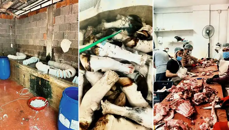 Adana'da Mide Bulandıran Olaya Dört Elli Müdahale: Yüzlerce Kilo Paça Ele Geçirildi