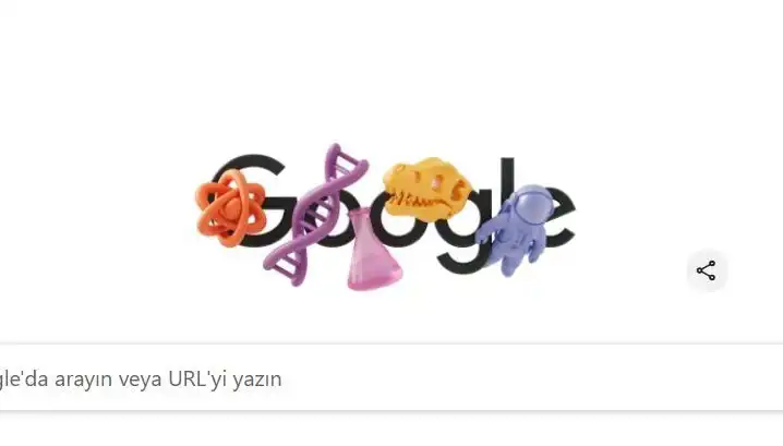 Kadınların STEM Dünyasındaki Yeri: Google'ın Doodle İle Vurgusu
