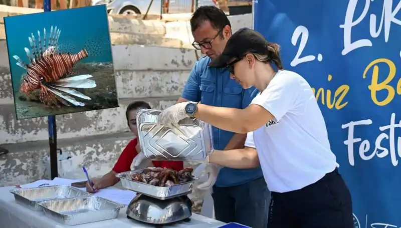 Antalya'da Yılın en Heyecanlı İstila Avı: Aslan Balığı Yarışması