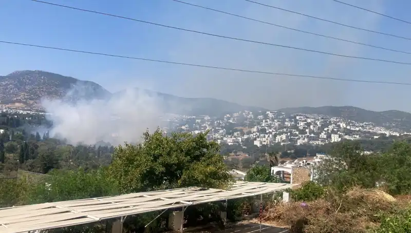 Muğla'daki Orman Yangınları: Kontrol Altına Alındı, Endişeler Havada Kaldı