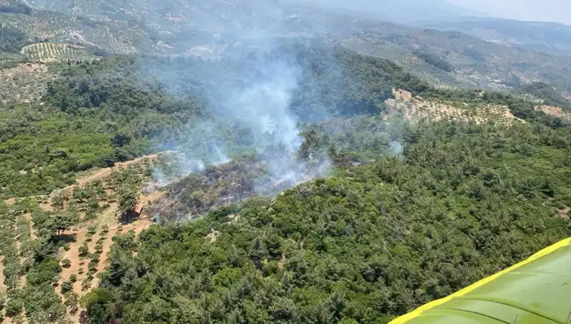 Aydın’da Orman Yangını: Hızla Yayılıyor, Ekipler Mücadele Ediyor
