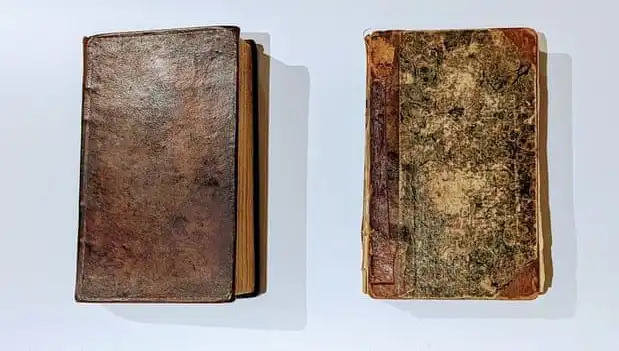 200 Yıllık Sır: Katilin Derisiyle Yapılan Kitap Müze Raflarını Süslüyor