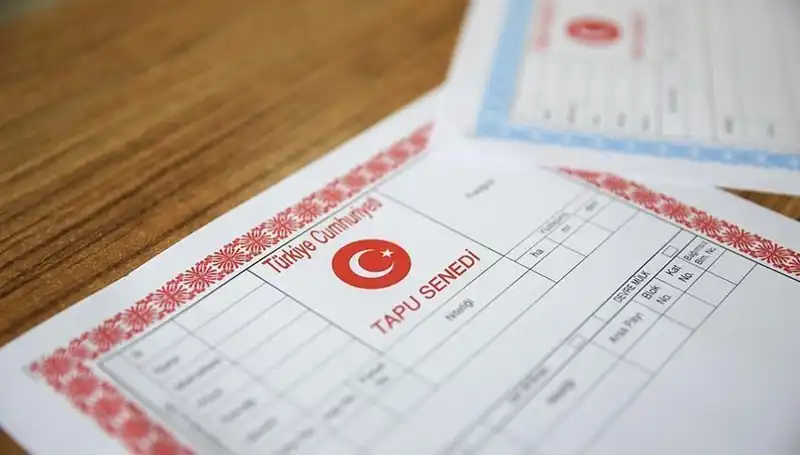 Hisseli Tapu Yalanı: 100 Milyonluk İnşaat İhalesi Çökertildi
