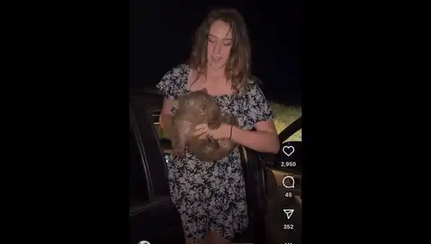Yavru Hayvanı Annesinden Ayırdılar! Ülkesini Terk Etmek Zorunda Kaldı
